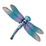 Libelle